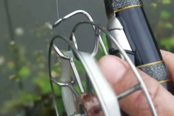 谷麦钓法的技巧,最关键的特征为用谷物打窝