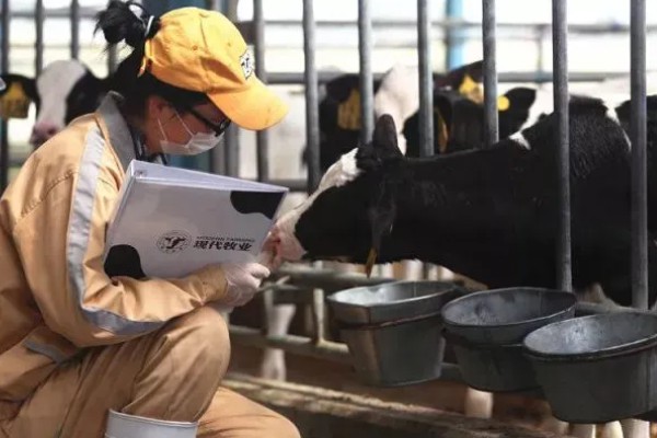 饲养员的工作范围，需学习饲养技术、参加培训、做好环境卫生等工作