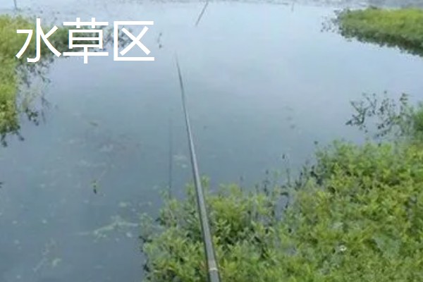 冬季的下雨天能钓鱼吗，可以钓鱼但效果不理想