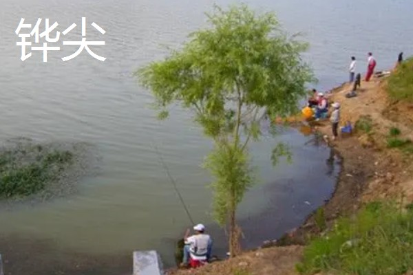 冬季的下雨天能钓鱼吗，可以钓鱼但效果不理想