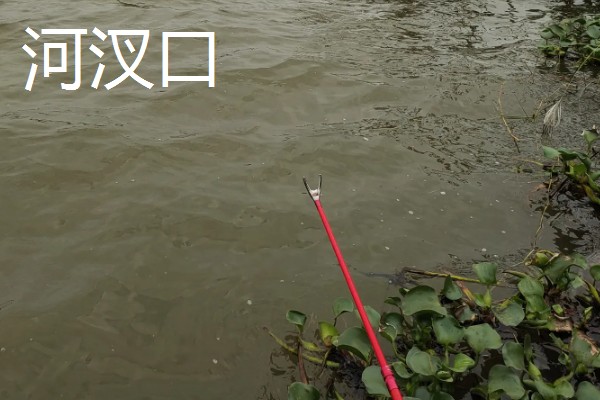 冬季的下雨天能钓鱼吗，可以钓鱼但效果不理想