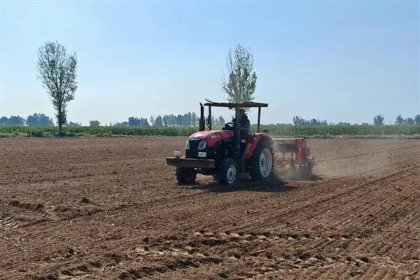 油菜的播种方式，条播、穴播、撒播均可使用