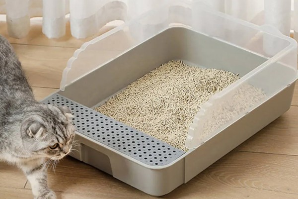 猫砂铺多厚最合适，以3到5厘米为宜