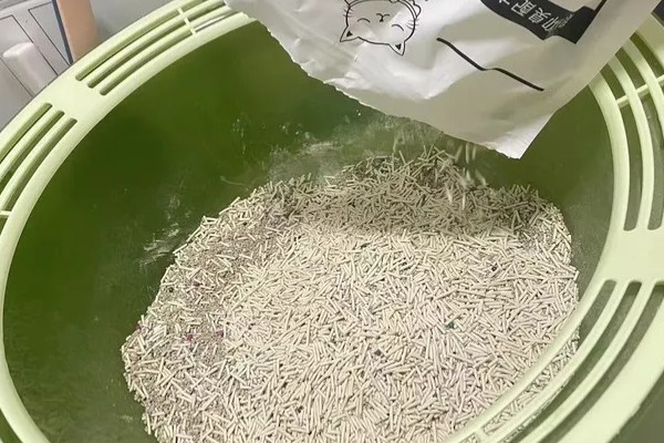 猫砂铺多厚最合适，以3到5厘米为宜