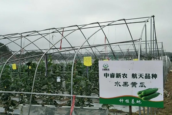 航天育种的基本目标，培育高产、优质的优异新品种