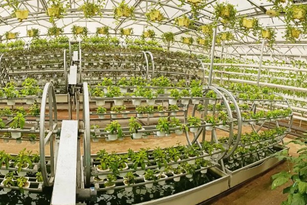 航天育种的基本目标，培育高产、优质的优异新品种