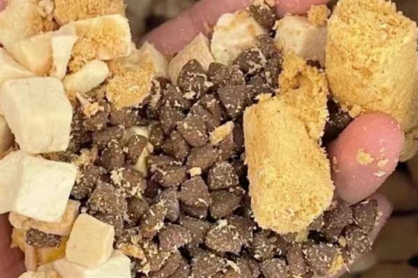 暹罗猫吃什么猫粮，原料里必须添加肉