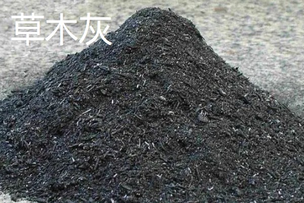 花生的专用肥料,有厩肥、人粪尿等