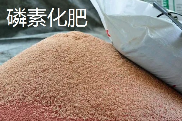 花生的专用肥料,有厩肥、人粪尿等