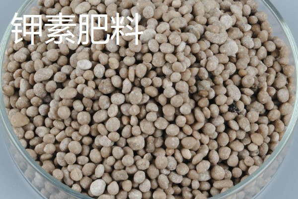 花生的专用肥料,有厩肥、人粪尿等