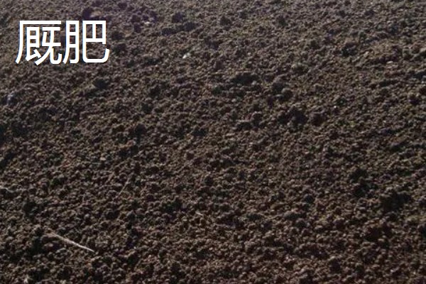 花生的专用肥料,有厩肥、人粪尿等