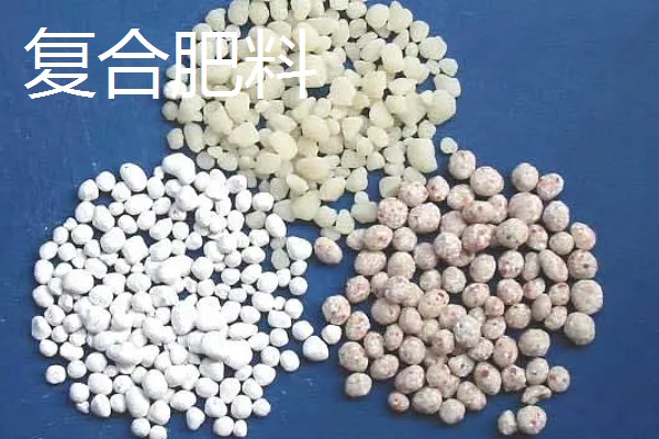 花生的专用肥料,有厩肥、人粪尿等