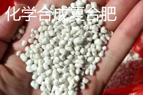花生的专用肥料,有厩肥、人粪尿等