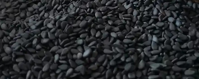 过期黑芝麻怎么做花肥，发酵后再用作花肥