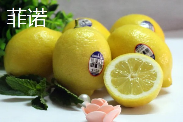 青柠檬和黄柠檬有什么区别，前者从挂果到成熟呈青色、后者成熟后呈金黄色