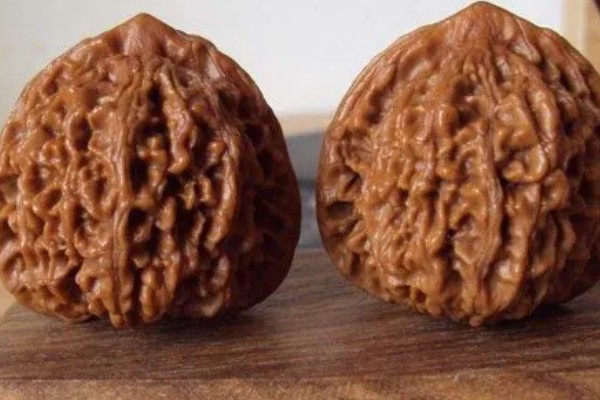 野牛狮子头核桃简介，有大窝底、小气门等