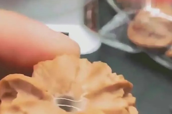 野牛狮子头核桃简介，有大窝底、小气门等