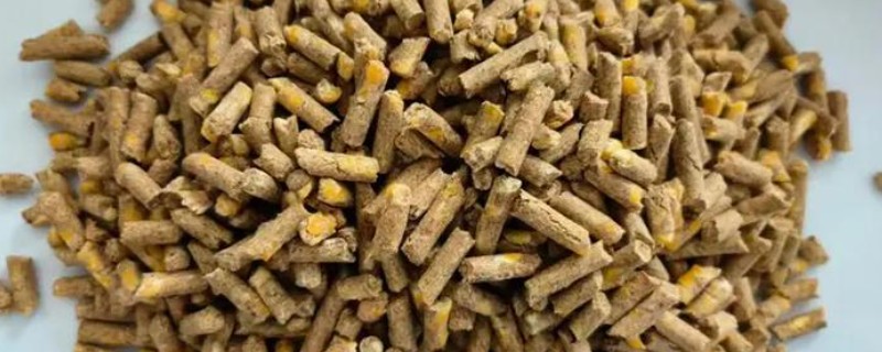 牛羊饲料原料如何正确选择，可选择粗饲料或精饲料