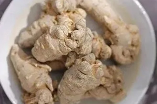 三七的特征，高可达20-60厘米