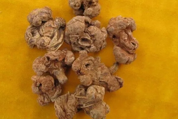 三七的特征，高可达20-60厘米