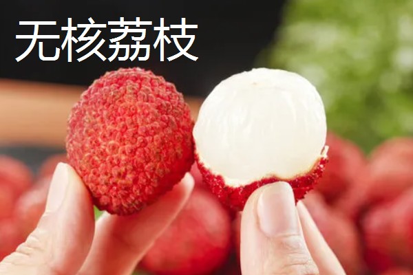 有哪些荔枝品种，推荐桂花香、妃子笑等