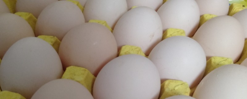 鸡蛋的保质期，在2-5℃的环境中可保存40天左右