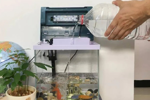 25cm的鱼缸可以养多少鱼,不到10厘米的鱼可以养两条