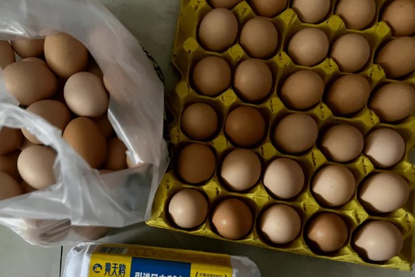 鸡蛋的保质期，在2-5℃的环境中可保存40天左右