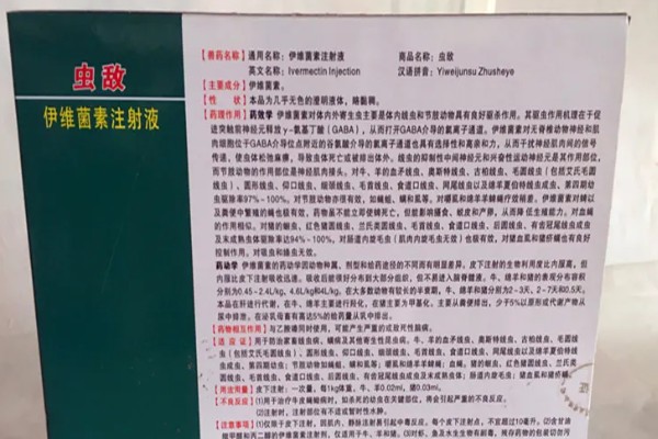 600斤牛要打多少10毫升的伊维菌素,打20毫升才可以