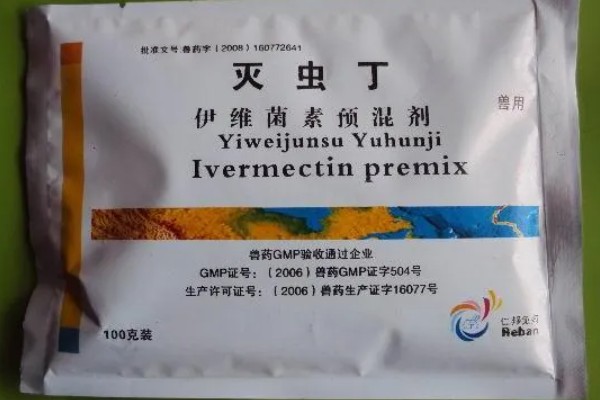 600斤牛要打多少10毫升的伊维菌素,打20毫升才可以