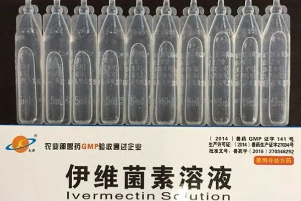 600斤牛要打多少10毫升的伊维菌素,打20毫升才可以