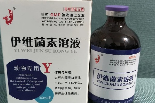 600斤牛要打多少10毫升的伊维菌素,打20毫升才可以