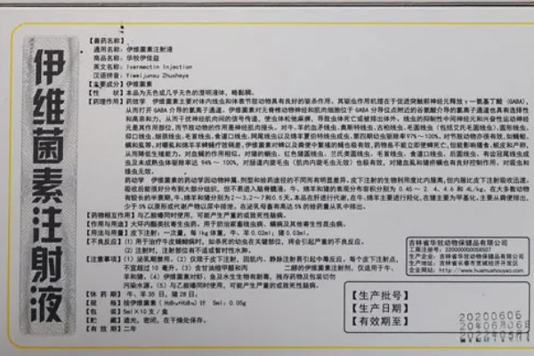 600斤牛要打多少10毫升的伊维菌素,打20毫升才可以
