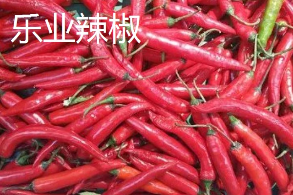 云南曲靖市的特产，有宣威火腿、陆良板鸭等