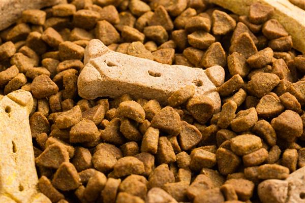 牛羊饲料原料如何正确选择，可选择粗饲料或精饲料