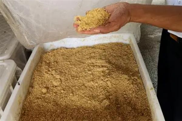 牛羊饲料原料如何正确选择，可选择粗饲料或精饲料