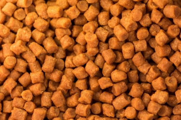 开小型饲料厂有哪些注意事项，先要去工商局进行工商注册