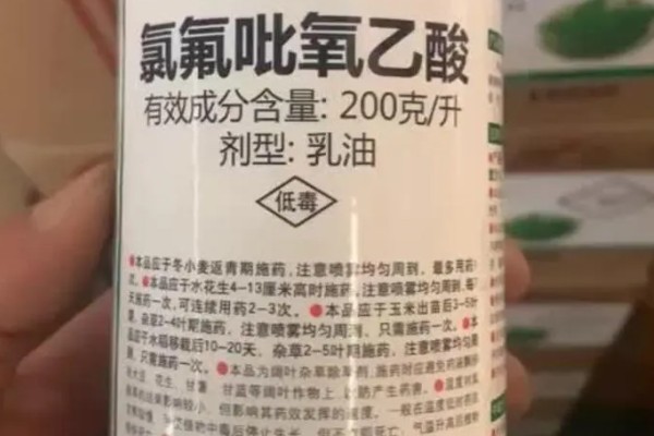 氯氟吡氧乙酸对大豆有没有害，通常对于大豆有害