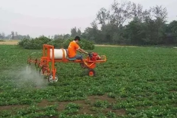 苏云金杆菌有哪些使用注意事项，适合在温度较高时使用