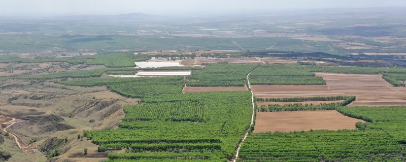 新疆是绿洲农业还是灌溉农业，属于绿洲农业