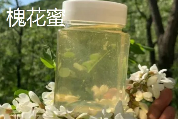 冬天建议喝槐花蜜还是枣花蜜,建议喝枣花蜜