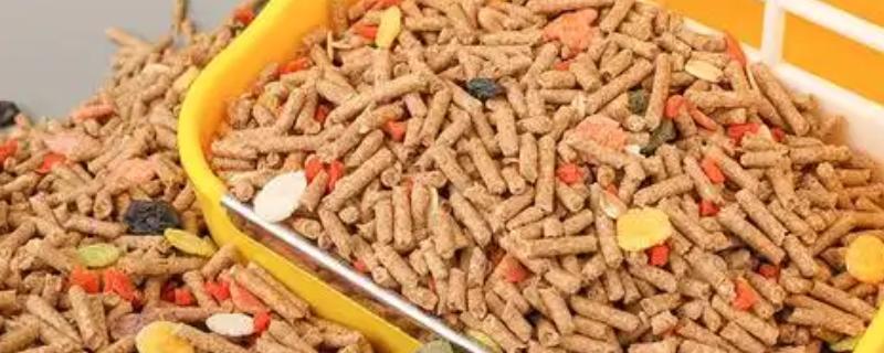 如何搭配兔子饲料，蛋白质是营养所需首要的成分