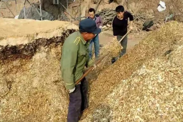 蘑菇的生长环境，生长需要大量的营养