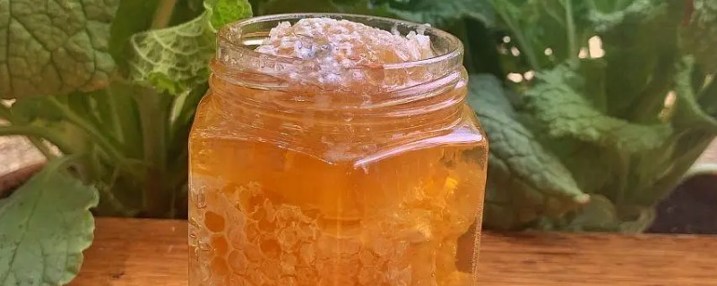 椴树蜜什么时间上市,每年的7月初至7月20日上市