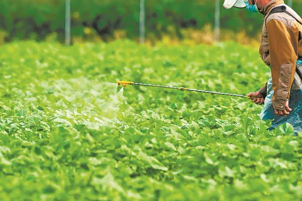 金都尔的使用注意事项,田中使用时需根据有机肥的量确定药量