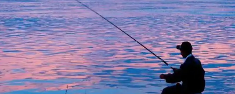 4+2线组能钓多大鱼，垂钓体重范围是10到20斤左右