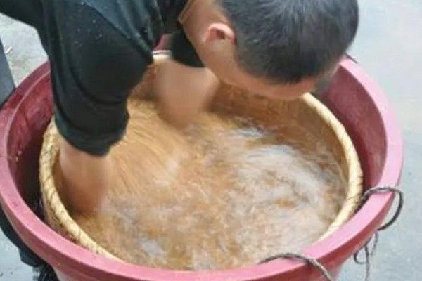 有哪些热带护坡草种,有狗牙根、黑麦草、百喜草等