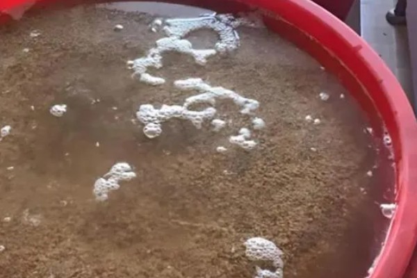 有哪些热带护坡草种,有狗牙根、黑麦草、百喜草等