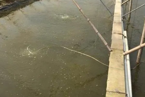 养殖污水处理的流程，一般通过污水处理设备处理