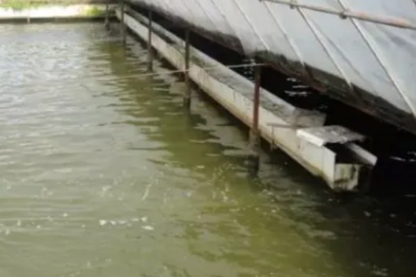 养殖污水处理的流程，一般通过污水处理设备处理